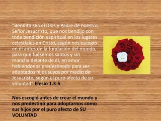 “Bendito sea el Dios y Padre de nuestro
Señor Jesucristo, que nos bendijo con
toda bendición espiritual en los lugares
celestiales en Cristo, según nos escogió
en él antes de la fundación del mundo,
para que fuésemos santos y sin
mancha delante de él, en amor
habiéndonos predestinado para ser
adoptados hijos suyos por medio de
Jesucristo, según el puro afecto de su
voluntad” Efesio 1.3-5
Nos escogió antes de crear el mundo y
nos predestinó para adoptarnos como
sus hijos por el puro afecto de SU
VOLUNTAD
 