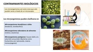 CONTAMINANTES BIOLÓGICOS
Los microorganismos pueden clasificarse en:
Los microorganismos son seres vivos que solo
pueden verse a través de un microscopio.
Microorganismos beneficioso o útiles
(levaduras, lactobacillius)
Microorganismos alteradores de alimentos
(mohos y bacterias)
Microorganismos patógenos: Causan daño a la
salud del consumidor (Bacterias como
Escherichia coli, Salmonella, Listeria
monocytogenes)
 