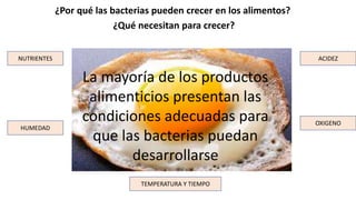 ¿Por qué las bacterias pueden crecer en los alimentos?
¿Qué necesitan para crecer?
La mayoría de los productos
alimenticios presentan las
condiciones adecuadas para
que las bacterias puedan
desarrollarse
NUTRIENTES
HUMEDAD
ACIDEZ
OXIGENO
TEMPERATURA Y TIEMPO
 