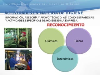 Químicos
Ergonómicos
Físicos
INFORMACIÓN, ASESORÍA Y APOYO TÉCNICO, ASÍ COMO ESTRATEGIAS
Y ACTIVIDADES ESPECIFICAS DE HIGIENE EN LA EMPRESA.
 