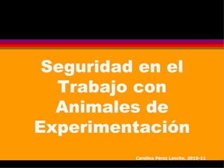 Seguridad en el Trabajo con Animales de Experimentación Carolina Pérez Lancho. 2010-11 