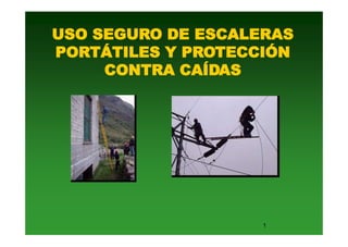 USO SEGURO DE ESCALERAS
PORTÁTILES Y PROTECCIÓN
CONTRA CAÍDAS
1
 
