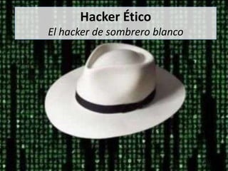 Hacker Ético
El hacker de sombrero blanco
 