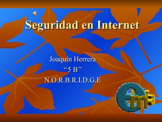 Seguridad en Internet Joaquín Herrera ‘‘ 5 B’’ N.O.R.B.R.I.D.G.E 