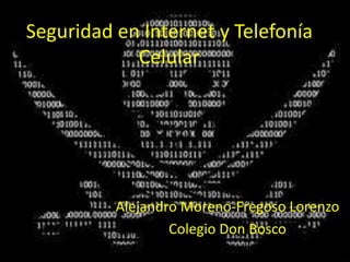 Seguridad en Internet y Telefonía 
Celular 
Alejandro Moreno-Fregoso Lorenzo 
Colegio Don Bosco 
 