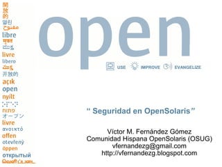 USE    IMPROVE   EVANGELIZE




“ Seguridad en OpenSolaris”

     Víctor M. Fernández Gómez
Comunidad Hispana OpenSolaris (OSUG)
       vfernandezg@gmail.com
   http://vfernandezg.blogspot.com
 