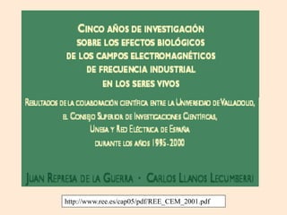 http://www.ree.es/cap05/pdf/REE_CEM_2001.pdf
 