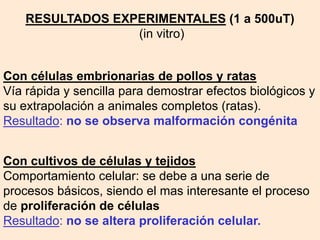 RESULTADOS EXPERIMENTALES (1 a 500uT)
(in vitro)
Con cultivos de células y tejidos
Comportamiento celular: se debe a una serie de
procesos básicos, siendo el mas interesante el proceso
de proliferación de células
Resultado: no se altera proliferación celular.
Con células embrionarias de pollos y ratas
Vía rápida y sencilla para demostrar efectos biológicos y
su extrapolación a animales completos (ratas).
Resultado: no se observa malformación congénita
 
