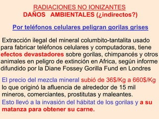 RADIACIONES NO IONIZANTES
DAÑOS AMBIENTALES (¿indirectos?)
Por teléfonos celulares peligran gorilas grises
Extracción ilegal del mineral columbito-tantalita usado
para fabricar teléfonos celulares y computadoras, tiene
efectos devastadores sobre gorilas, chimpancés y otros
animales en peligro de extinción en Africa, según informe
difundido por la Diane Fossey Gorilla Fund en Londres
El precio del mezcla mineral subió de 36$/Kg a 660$/Kg
lo que originó la afluencia de alrededor de 15 mil
mineros, comerciantes, prostitutas y maleantes.
Esto llevó a la invasión del hábitat de los gorilas y a su
matanza para obtener su carne.
 