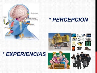 * PERCEPCION
* EXPERIENCIAS
 