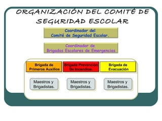 ORGANIZACIÓN DEL COMITÉ DE SEGURIDAD ESCOLAR Maestros y  Brigadistas. Maestros y  Brigadistas. Maestros y  Brigadistas. Coordinador del  Comité de Seguridad Escolar.  Coordinador de  Brigadas Escolares de Emergencias Brigada de Primeros Auxilios Brigada de Evacuación Brigada Prevención De Incendios. 