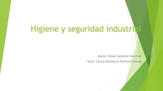 Higiene y seguridad industrial
Marlon Jhoan Sandoval Merchán
Tutor: Carlos Humberto Pedraza Poveda
 