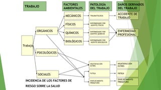 11
Trabajo
FÍSICOS
ENFERMEDAD
PROFESIONAL
PSICOLÓGICOS
QUÍMICOS
TRAUMATOLOGÍA
FATIGA
ORGÁNICOS
SOCIALES
MECÁNICOS
BIOLÓGICOS
ENFERMEDADES POR
AGENTES FÍSICOS
ENFERMEDADES POR
AGENTES QUÍMICOS
ENFERMEDADES POR
AGENTES BIOLÓGICOS
INSATISFACCIÓN
ESTRÉS
FATIGA
ENVEJECIMIENTO
PREMATURO
ACCIDENTE DE
TRABAJO
INSATISFACCIÓN
ESTRÉS
ENVEJECIMIENTO
PREMATURO
TRABAJO
FACTORES
AMBIENTALES
PATOLOGÍA
DEL TRABAJO
DAÑOS DERIVADOS
DEL TRABAJO
INCIDENCIA DE LOS FACTORES DE
RIESGO SOBRE LA SALUD
 
