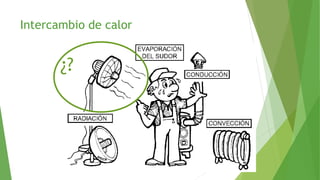 Intercambio de calor
45
¿?
 