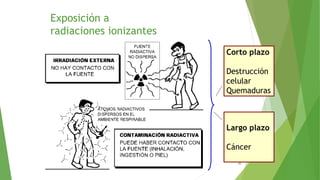 Exposición a
radiaciones ionizantes
48
Corto plazo
Destrucción
celular
Quemaduras
Largo plazo
Cáncer
 