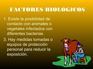 FACTORES BIOLOGICOS
1. Existe la posibilidad de
contacto con animales o
vegetales infectados con
diferentes bacterias.
3. Hay medidas tomadas o
equipos de protección
personal para reducir la
exposición.
 