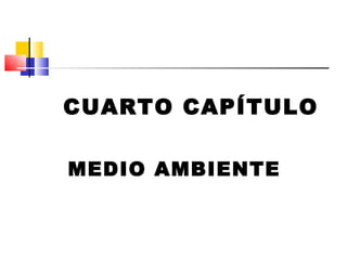 CUARTO CAPÍTULO

MEDIO AMBIENTE
 