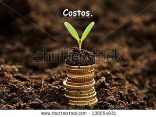 Costos.
 