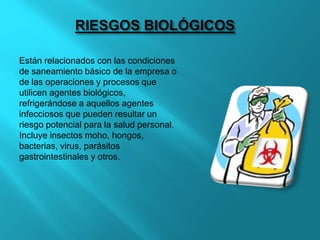 RIESGOS BIOLÓGICOS
Están relacionados con las condiciones
de saneamiento básico de la empresa o
de las operaciones y procesos que
utilicen agentes biológicos,
refrigerándose a aquellos agentes
infecciosos que pueden resultar un
riesgo potencial para la salud personal.
Incluye insectos moho, hongos,
bacterias, virus, parásitos
gastrointestinales y otros.
 