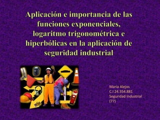 María Alejos 
C.I 24.354.881 
Seguridad Industrial 
(77) 
 