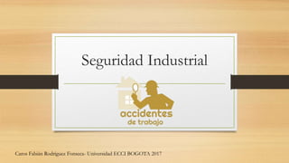 Seguridad Industrial
Caros Fabián Rodríguez Fonseca- Universidad ECCI BOGOTA 2017
 
