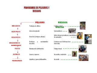 BIOMECÁNICO
TECNOLÓGICO
EFECTOS
 