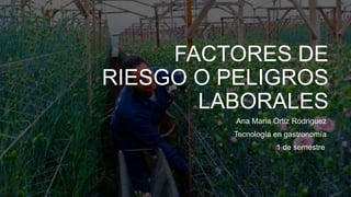 FACTORES DE
RIESGO O PELIGROS
LABORALES
Ana Maria Ortiz Rodriguez
Tecnología en gastronomía
1 de semestre
 