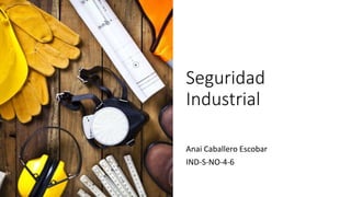 Seguridad
Industrial
Anai Caballero Escobar
IND-S-NO-4-6
 