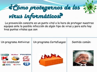 ¿Cómo protegernos de los
     virus informáticos?
   La prevención consiste en un punto vital a la hora de proteger nuestros
  equipos ante la posible infección de algún tipo de virus y para esto hay
  tres puntos vitales que son



Un programa Antivirus:   Un programa Cortafuegos:       Sentido común:
 