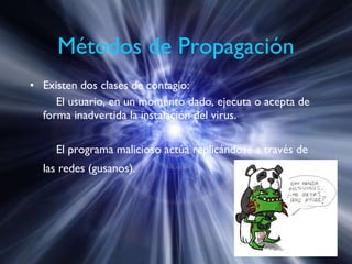 Métodos de Propagación Existen dos clases de contagio: El usuario, en un momento dado, ejecuta o acepta de forma inadvertida la instalación del virus.  El programa malicioso actúa replicándose a través de las redes (gusanos).   