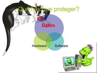 ¿Qué hay que proteger? Datos Software Hardware 