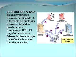 QUÉ PROGRAMAS CREAN?Utilidad súper sencilla que muestra por pantalla el Password del MSN Messenger. Para ello lo saca del registro de Windows, y lo desencripta en caso de estar encriptada. 