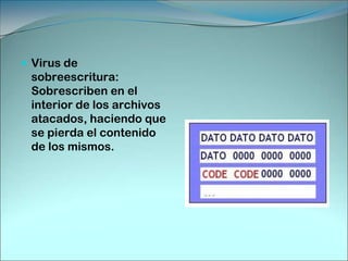 Virus de Programa:Comúnmente infectan archivos con extensiones .EXE, .COM, .OVL, .DRV, .BIN, .DLL, y .SYS., los dos primeros son atacados más frecuentemente por que se utilizan mas.