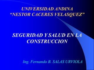 UNIVERSIDAD ANDINA
“NESTOR CACERES VELASQUEZ”
SEGURIDAD Y SALUD EN LA
CONSTRUCCION
Ing. Fernando B. SALAS URVIOLA
 