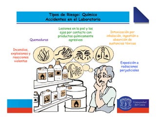 Tipos de Riesgo: Químico
Accidentes en el Laboratorio
Quemaduras
Lesiones en la piel y los
ojos por contacto con
productos químicamente
agresivos
Intoxicación por
inhalación, ingestión o
absorción de
sustancias tóxicas
Incendios,
explosiones y
reacciones
violentas
Exposición a
radiaciones
perjudiciales
 