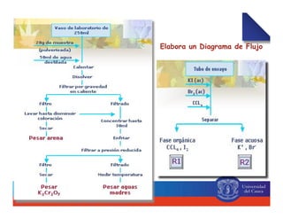 Elabora un Diagrama de Flujo
 
