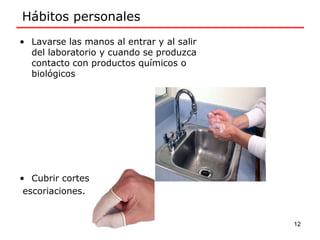 • Lavarse las manos al entrar y al salir
del laboratorio y cuando se produzca
contacto con productos químicos o
biológicos
• Cubrir cortes o
escoriaciones.
Hábitos personales
12
 