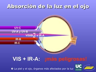 Absorción de la luz en el ojo UV-C UV-A y UV-B VISIBLE e IR-A IR-B IR-C VIS + IR-A:  ¡más peligrosas!    La piel y el ojo, órganos más afectados por la luz 