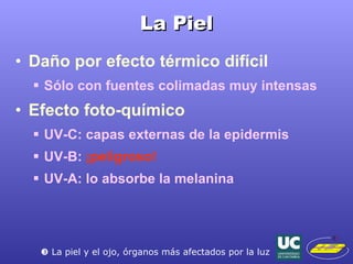 La Piel Daño por efecto térmico difícil Sólo con fuentes colimadas muy intensas Efecto foto-químico UV-C: capas externas de la epidermis UV-B:  ¡peligroso! UV-A: lo absorbe la melanina    La piel y el ojo, órganos más afectados por la luz 