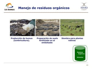 48
Manejo de residuos orgánicos
Producción de humus
(lumbricultura).
Preparación de suelo
fertilizado en el
embolsado
Siembra para plantas
nativas
 
