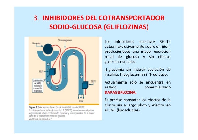 Eficacia y Seguridad de los nuevos Antidiabéticos Eficacia y Seguridad de los nuevos Antidiabéticos