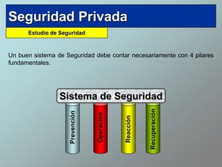 Seguridad privada | PPTX
