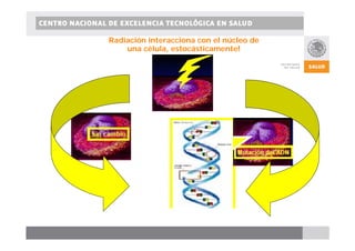 CENTRO NACIONAL DE EXCELENCIA TECNOLÓGICA EN SALUD 
Radiación interacciona con el núcleo de 
una célula, estocásticamente! 
 