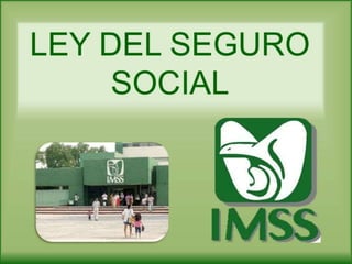 Seguridad social en mexico