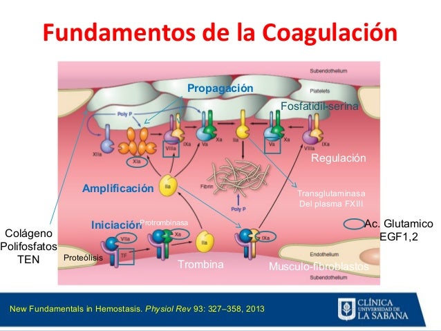 Seguridad en Terapia Trombolitica