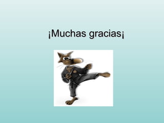 ¡Muchas gracias¡¡Muchas gracias¡
 