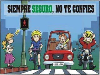 Seguridad vial 
