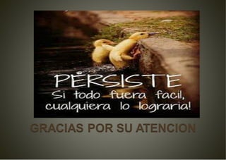 Seguri del carnet de extranjeria