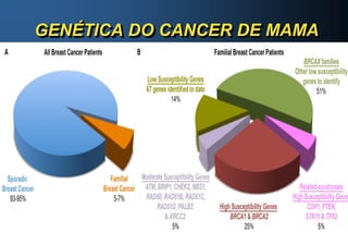 GENÉTICA DO CANCER DE MAMA
 