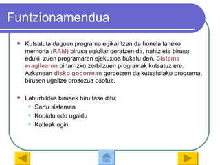 Funtzionamendua Kutsatuta dagoen programa egikaritzen da honela laneko memoria  (RAM)  birusa egioliar geratzen da, nahiz eta birusa eduki  zuen programaren ejekuxioa bukatu den.  Sistema   eragilearen   oinarrizko zerbitzuen programak kutsatuz ere. Azkenean  disko   gogorrean  gordetzen da kutsatutako programa, birusen ugaltze prosezua osotuz. Laburbildus birusek hiru fase ditu: Sartu sisteman Kopiatu edo ugaldu Kalteak egin  